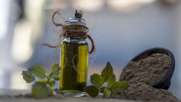 Amazing Health Benefits of Brahmi Oil in hindi	