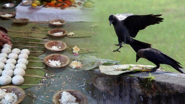 pitru paksha Panchami shradh 2023 date, time, shubh muhurat, rituals and significance in hindi