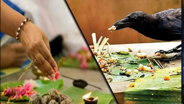 Sarva Pitru Amavasya 2023 Kab Hai: Follow These Remedies to Remove Pitru Dosha