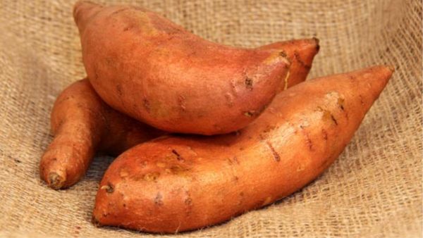 fssai-tip-to-identify-sweet-potato-is-adulterated-with-rhodamine-b