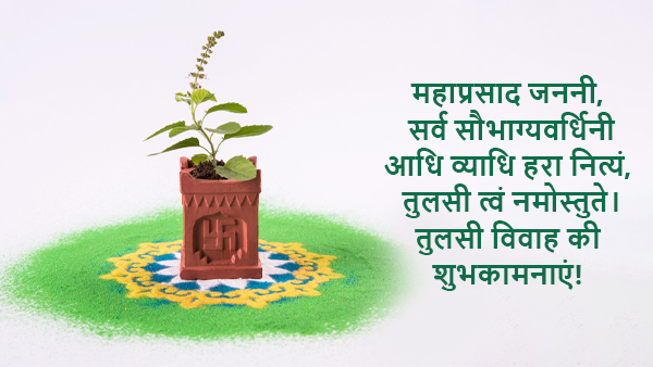 Happy tulsi vivah 2023 Wishes, Messages, Images, Quotes, FB, Whatsapp Status