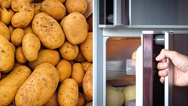  Why You Should Never Store Potatoes in the Fridge know Its Side Effects in hindi
