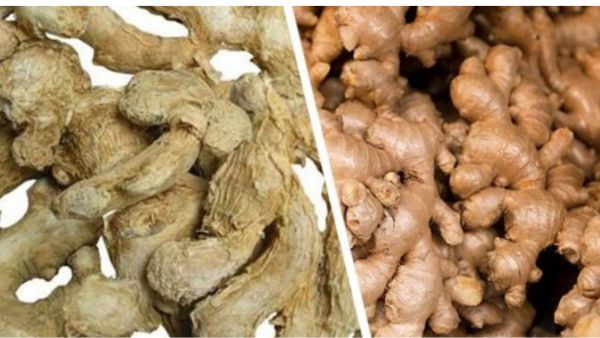  Dry ginger vs fresh ginger: Find out which is better for your health In Winter 