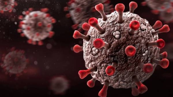 Coronavirus: New dominant COVID HV.1 Coronavirus: New dominant COVID HV.1