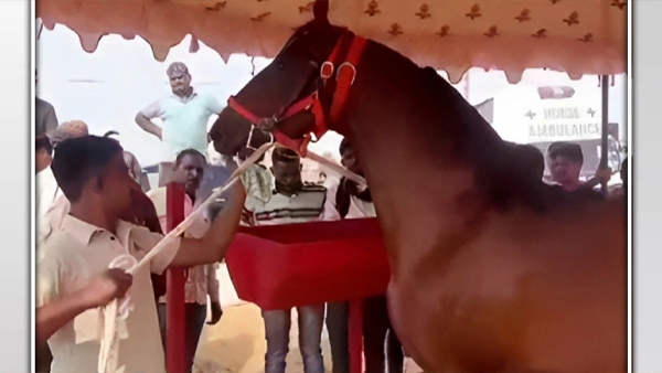 Pushkar Mela 2023: Know Interesting F