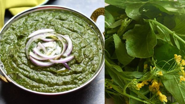 5 Mistakes While Cooking Sarson Ka Saag: How To Prevent 5 Mistakes While Cooking Sarson Ka Saag: How To Prevent