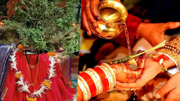 Tulsi Vivah Upay for Early Marriage: Follow These Remedies to Remove Marriage Problem on devuthani ekadashi