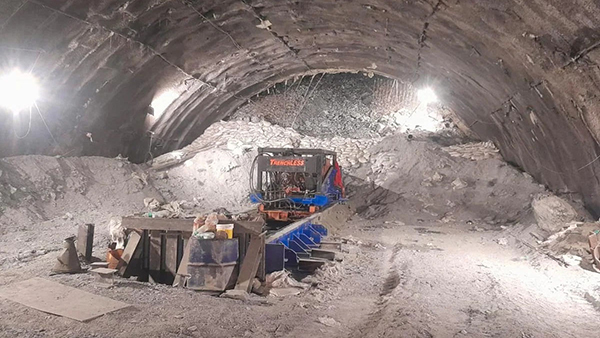 uttarkashi tunnel collapse: what happens to body if you dont get sunlight for days know details