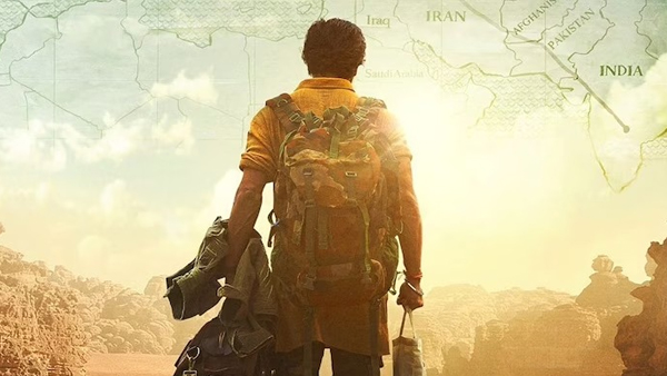 What is Donkey Flight: