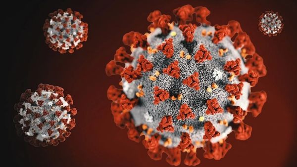 WHO Declares JN. 1 COVID Strain A ‘Variant Of Interest’ Amid Surge In Cases, WHO Declares JN. 1 COVID Strain A ‘Variant Of Interest’ Amid Surge In Cases,