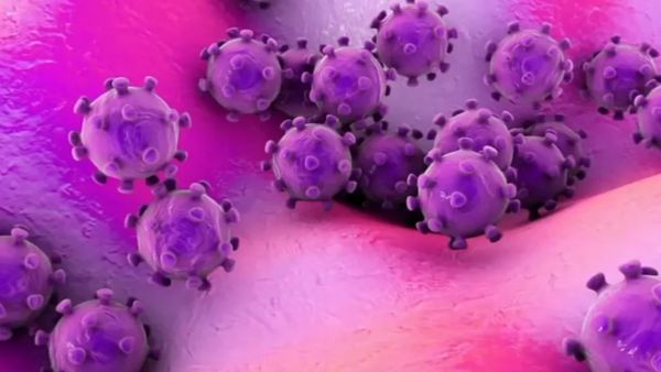 New covid Variant JN 1 : Know guidelines and measures shared by ICMR New covid Variant JN 1 : Know guidelines and measures shared by ICMR