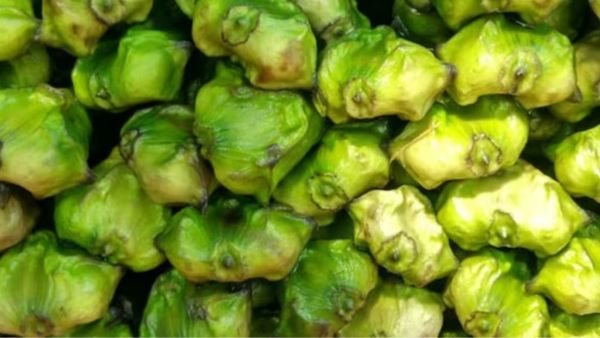  5 Surprising Health Benefits of Boiled Water Chestnuts or Boiled Singhara 