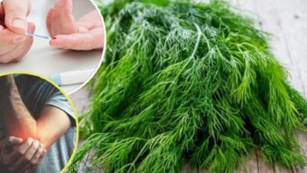  5 Reasons Why You Should Add Dill leaves Or Soya Saag to your Winter Diet, Soya Saag Khane ke Fayde 