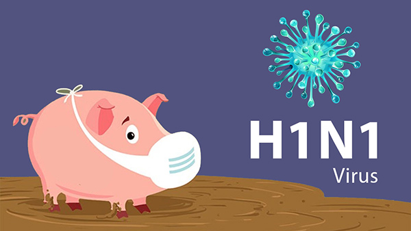 Swine Flu Cases Rise In India Swine Flu Cases Rise In India