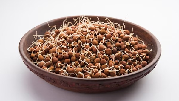 Which is better roasted chana or sprouted chana or Boiled gram for health Know How To Eat Which is better roasted chana or sprouted chana or Boiled gram for health Know How To Eat