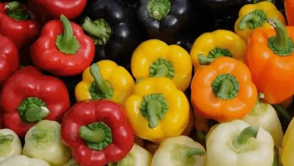 Red, Green or Yellow , Which color Bell Pepper or Capsicum is Healthiest and Know Difference 