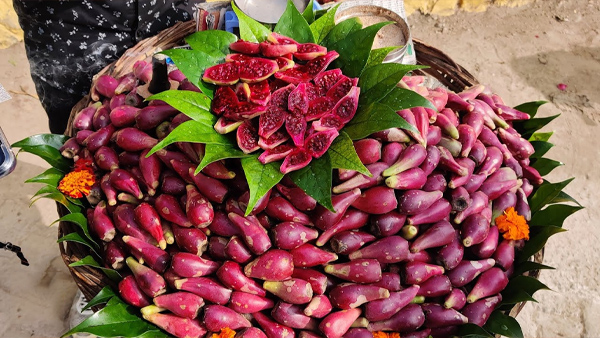 What is the Ramphal Or Bullock Heart Fruit, Know Its Benefits and Connection With Ramayana