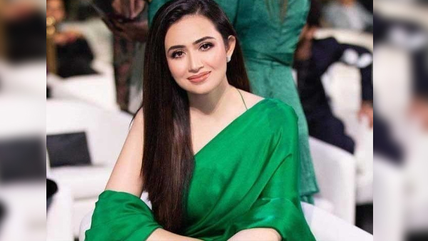 Who Is Sana Javed Married To Cricketer Shoaib Malik :