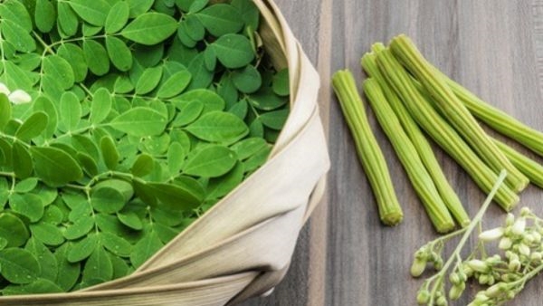Why Moringa Or Drumstick Water Is Superfood Know Its Health Benefits And Nutrition Facts In Hindi 