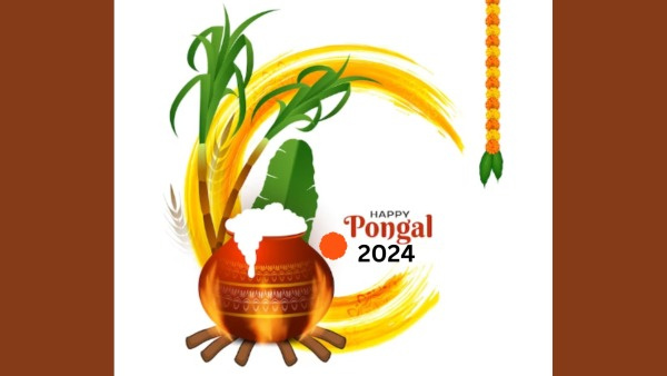 Pongal 2024 Tamil New Year: Know Date, four Days celebrations and rituals details in Hindi