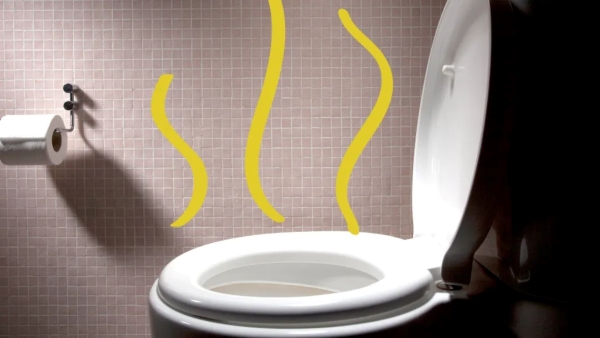 Hyperuricemia: Does Your Pee Smells Bad