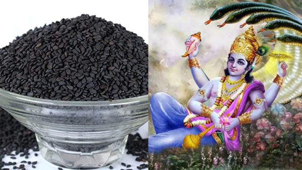 Shattila Ekadashi 2024 Kab Hai: Date, Shubh Muhurat, Puja Vidhi, Puja Mantra, Significance