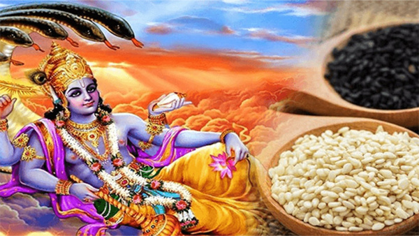 Shattila Ekadashi 2024 til ke Upay: sesame remedies for the blessings of ancestors on magh ekadashi