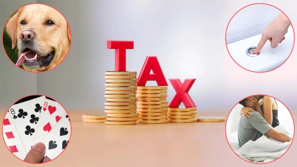 Interim Budget 2024 Know Top 10 weirdest tax rules around the world in Hindi