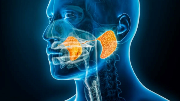 What is Salivary Stones Or Mouth Stone, Causes, Symptoms & Treatment