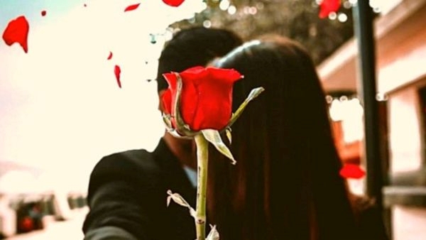  Happy Rose Day 2024 From History to Significance : 