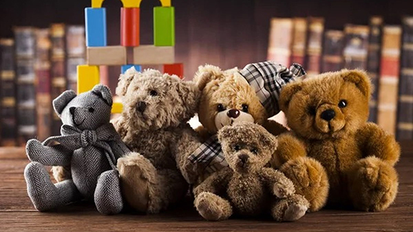  Meaning of Different Teddy