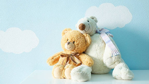 Teddy Day 2024: Date, History, Significance,