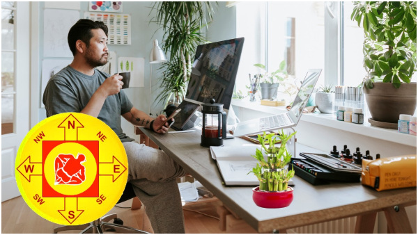 Vastu Tips for Office Table: Keep These Items on Your Working Desk for Salary Promotion and Good Luck