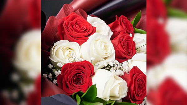 What are the different colors of roses Meaning: