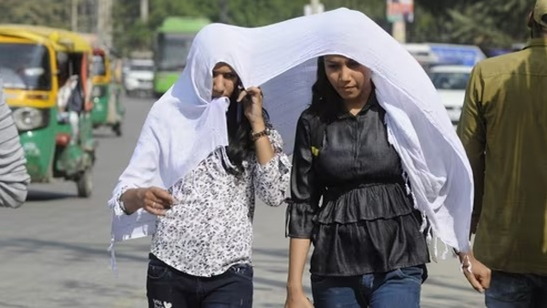 Ec Issued Heat Wave Advisory List Of Dos And Donts To Protect From Heatwaves