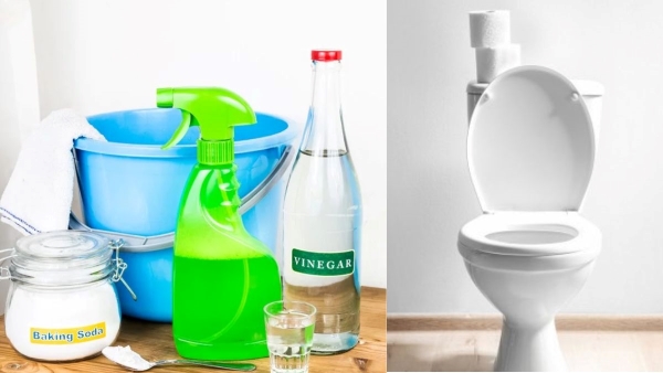 homemade toilet bowl cleaner