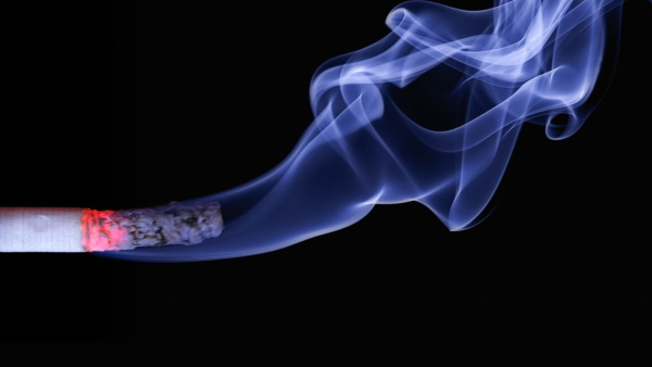 No Smoking Day 2024 Quotes Messages Slogans Whatsapp Facebook Status and Insta Captions in Hindi