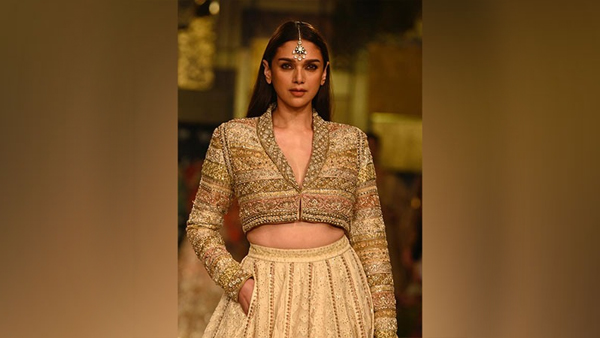 Aditi rao hydari saree Blouse