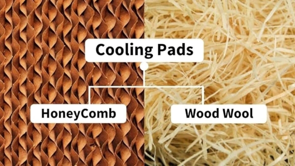 Honeycomb or Wood wooL Which Grass is Best For Cooler