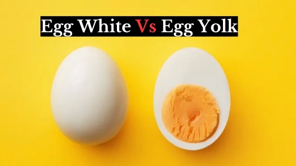 Egg White Vs Egg Yolk Which one is healthier