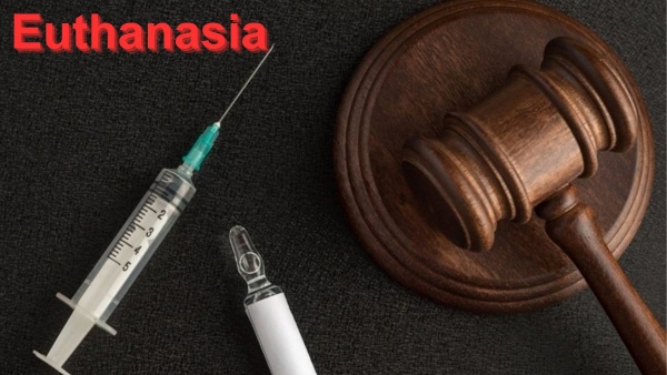 Countries Where It s Legal is euthanasia legal in india Countries Where It s Legal is euthanasia legal in india