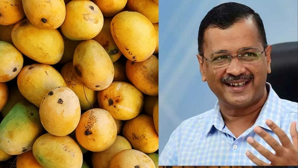 Does Eating Mangoes To Raise Sugar Levels