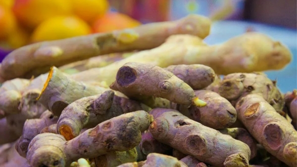 Mango Ginger Kya hain