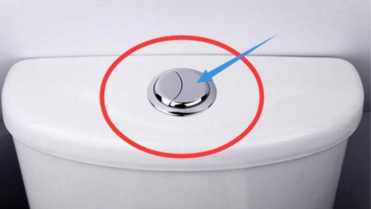 Why Toilet Flush Has One Large And One Small Button In hindi