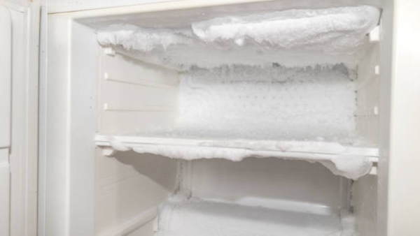 How to defrost a freezer faster in hindi