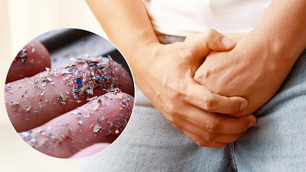 microplastic discovered in human testicles microplastic discovered in human testicles