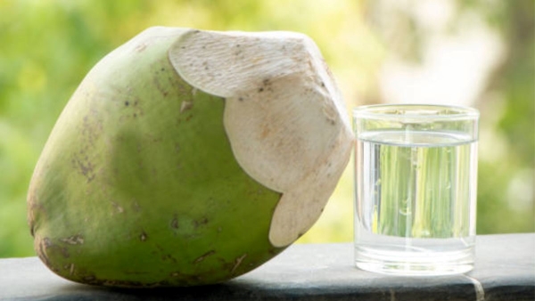 How to Pick the Right Coconut with High Water Content