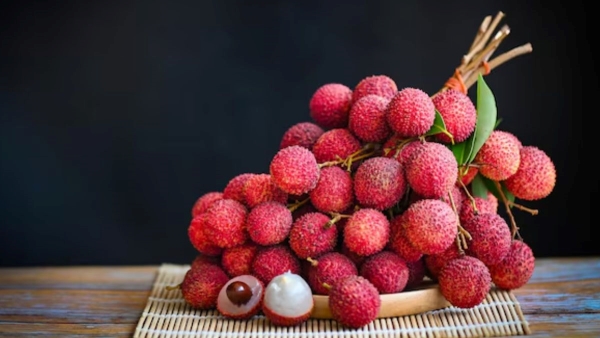 asli hain ya Nakli Kaise Pata kare