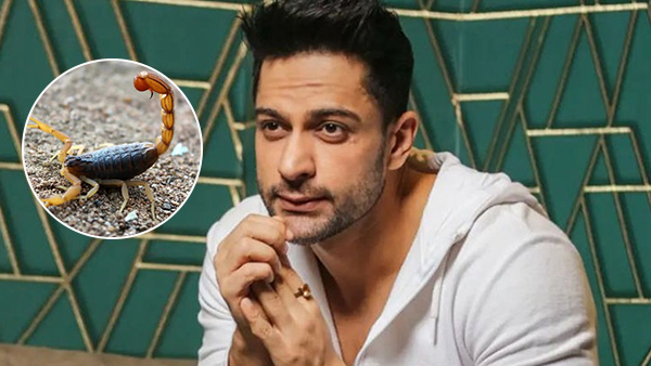 Shalin Bhanot bit by scorpions during stunt k