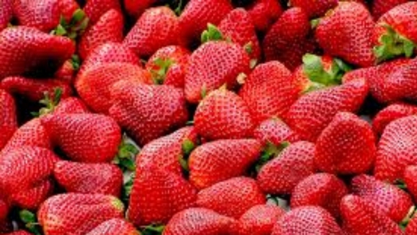 how to deep clean strawberries in hindi